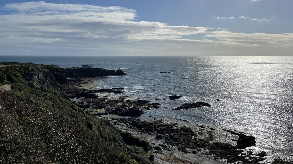 House for a Collector