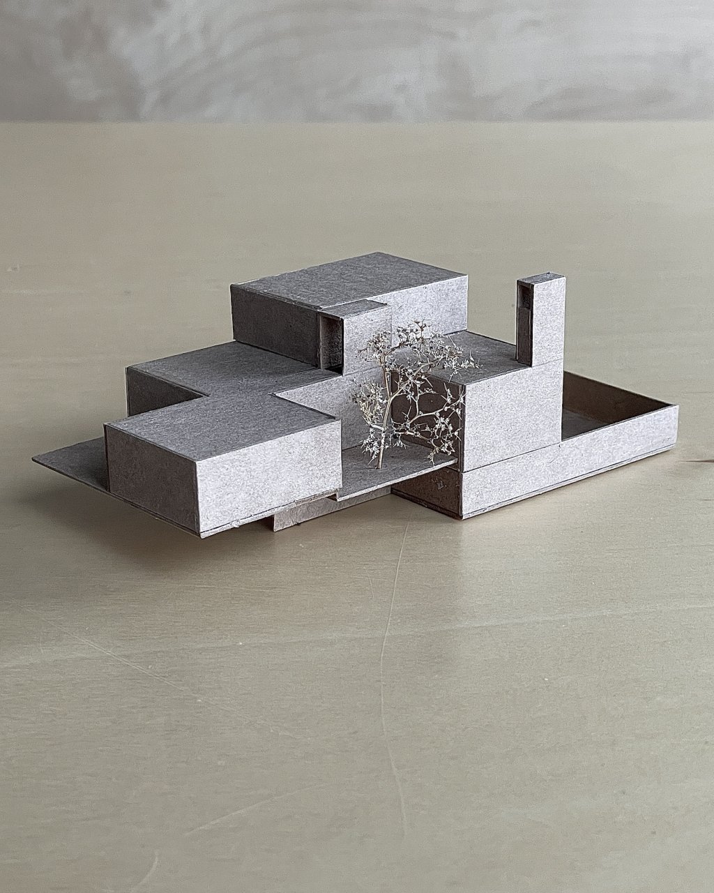 House for a Collector