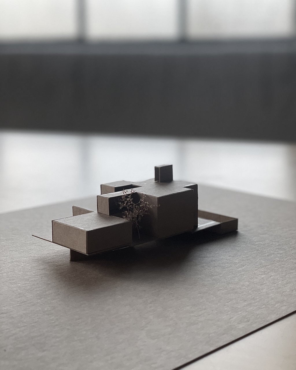 House for a Collector