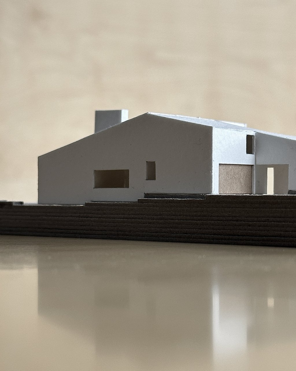 House for a Collector