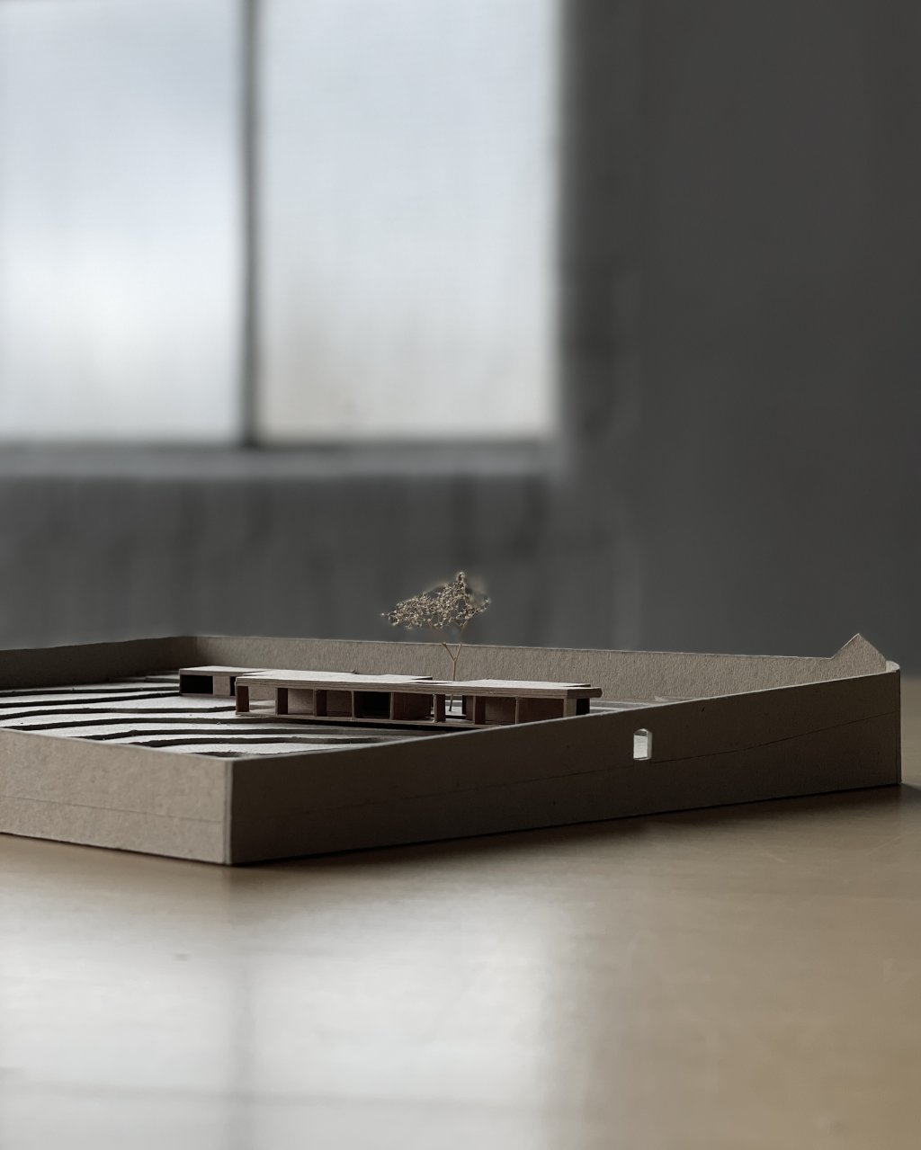 House in a Walled Garden