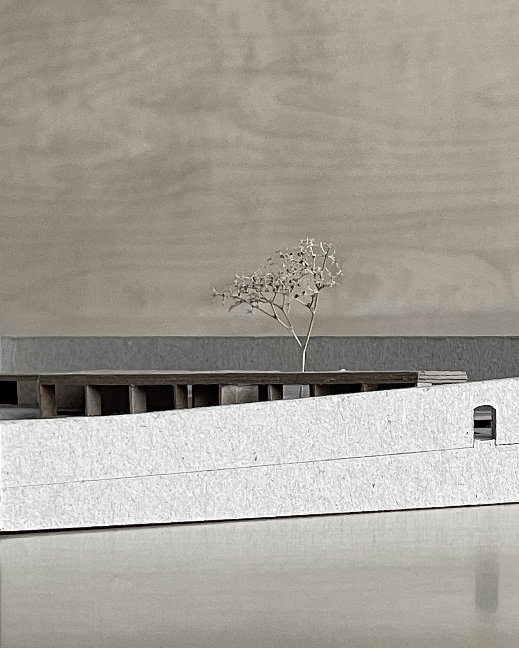 House in a Walled Garden