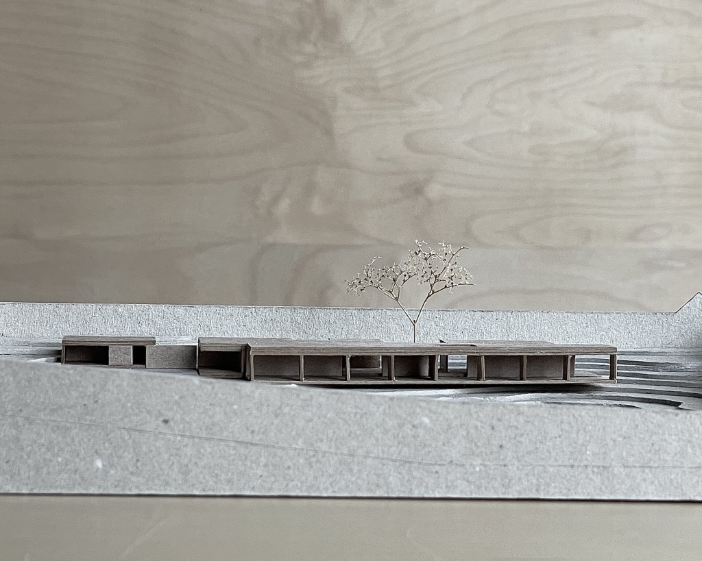 House in a Walled Garden