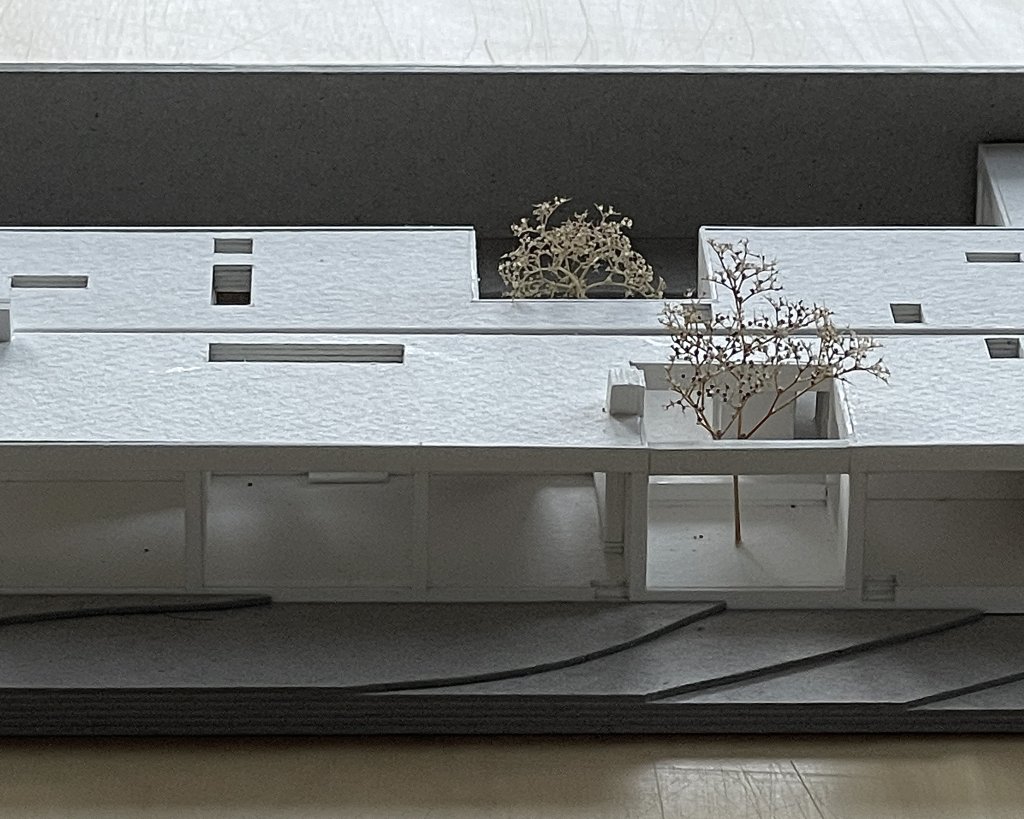 House in a Walled Garden