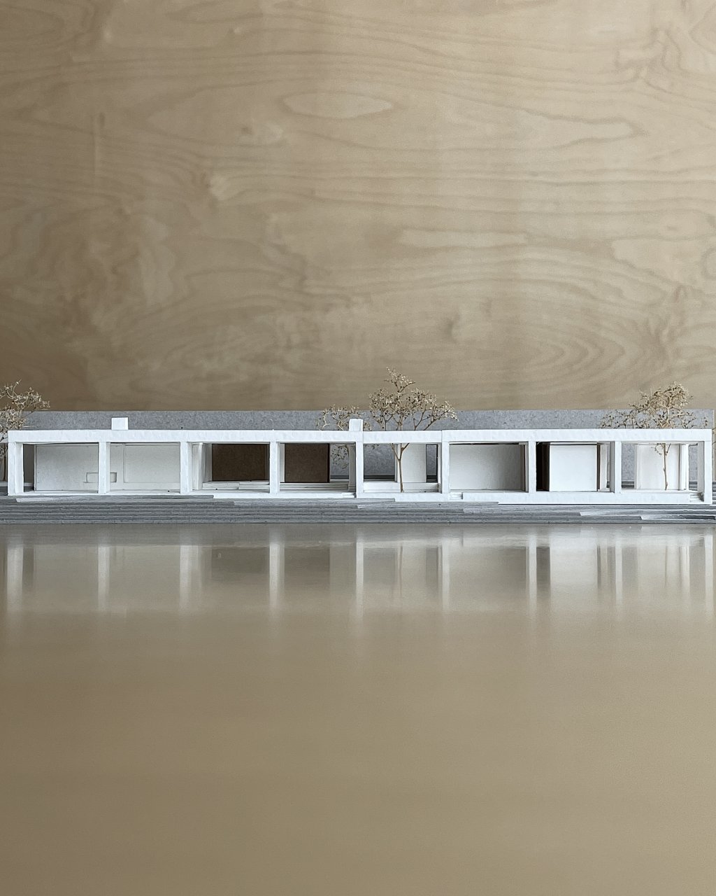 House in a Walled Garden