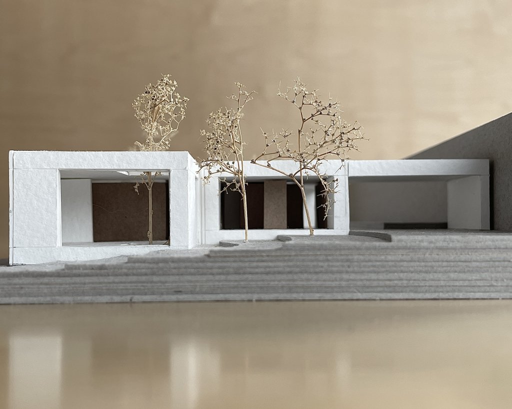 House in a Walled Garden