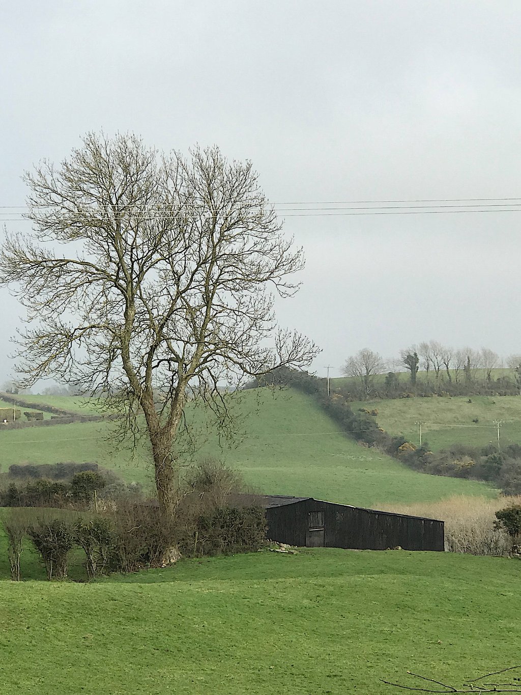The Black Barn, Ballynahinch - Long view from the main road