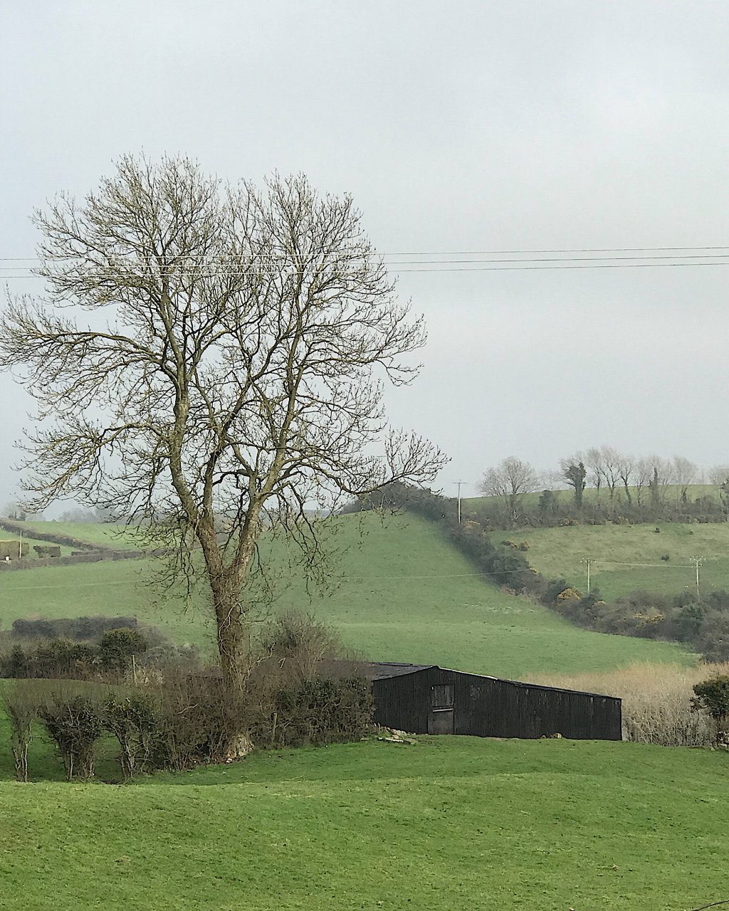 House on Redbrae Farm